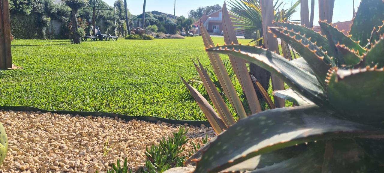Hollidays Dreams Villa Póvoa de Varzim Kültér fotó