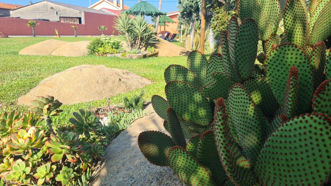 Hollidays Dreams Villa Póvoa de Varzim Kültér fotó