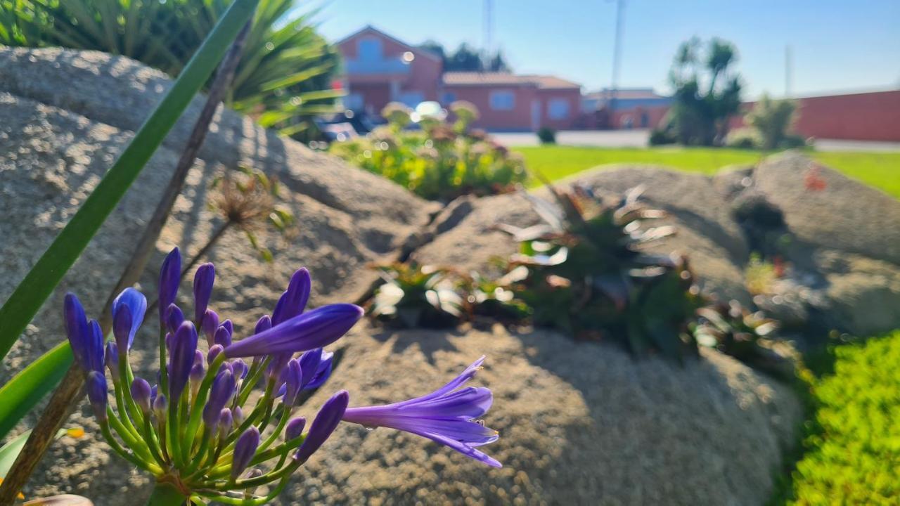 Hollidays Dreams Villa Póvoa de Varzim Kültér fotó