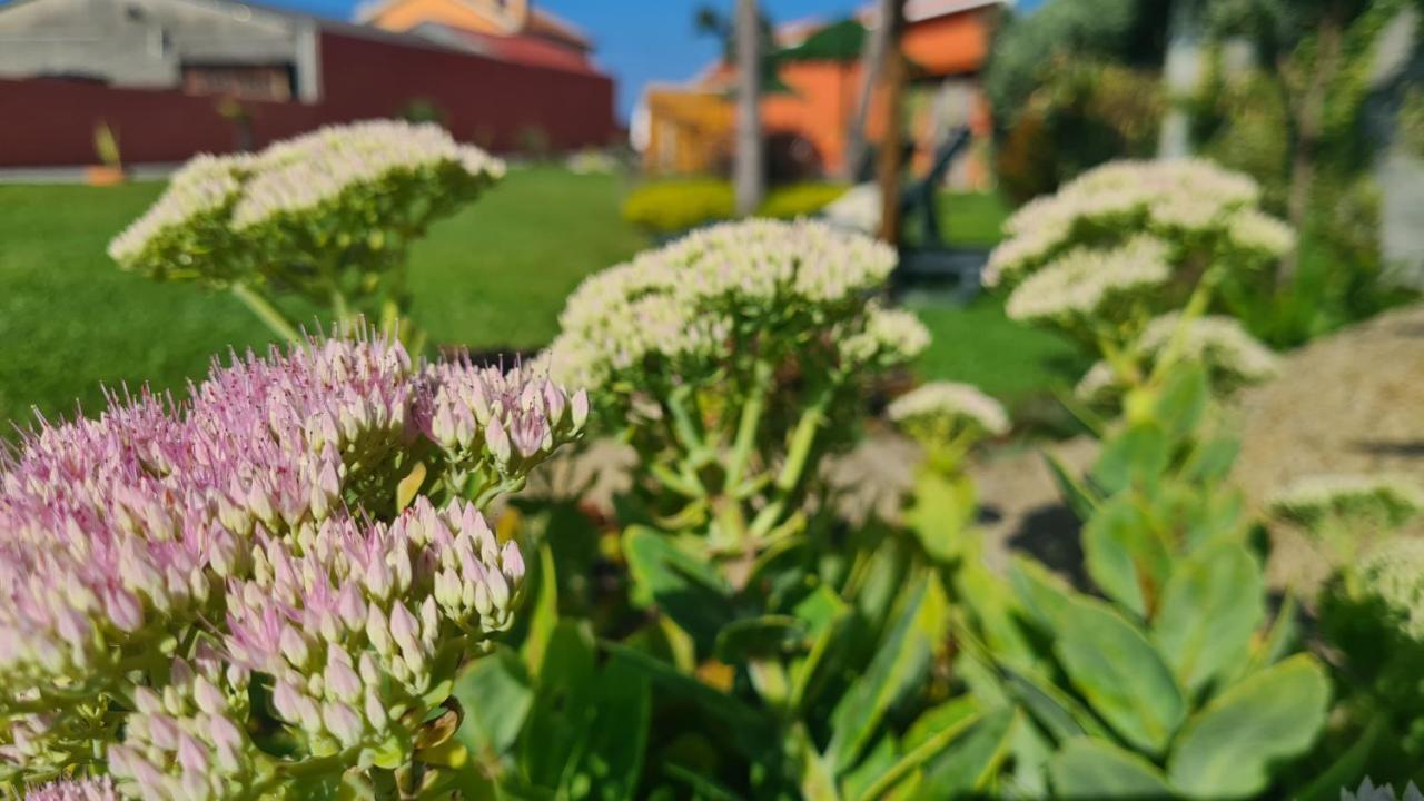 Hollidays Dreams Villa Póvoa de Varzim Kültér fotó