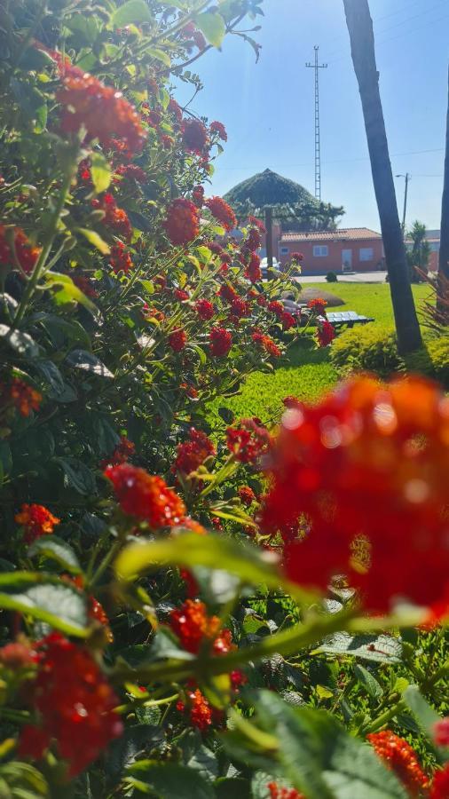 Hollidays Dreams Villa Póvoa de Varzim Kültér fotó